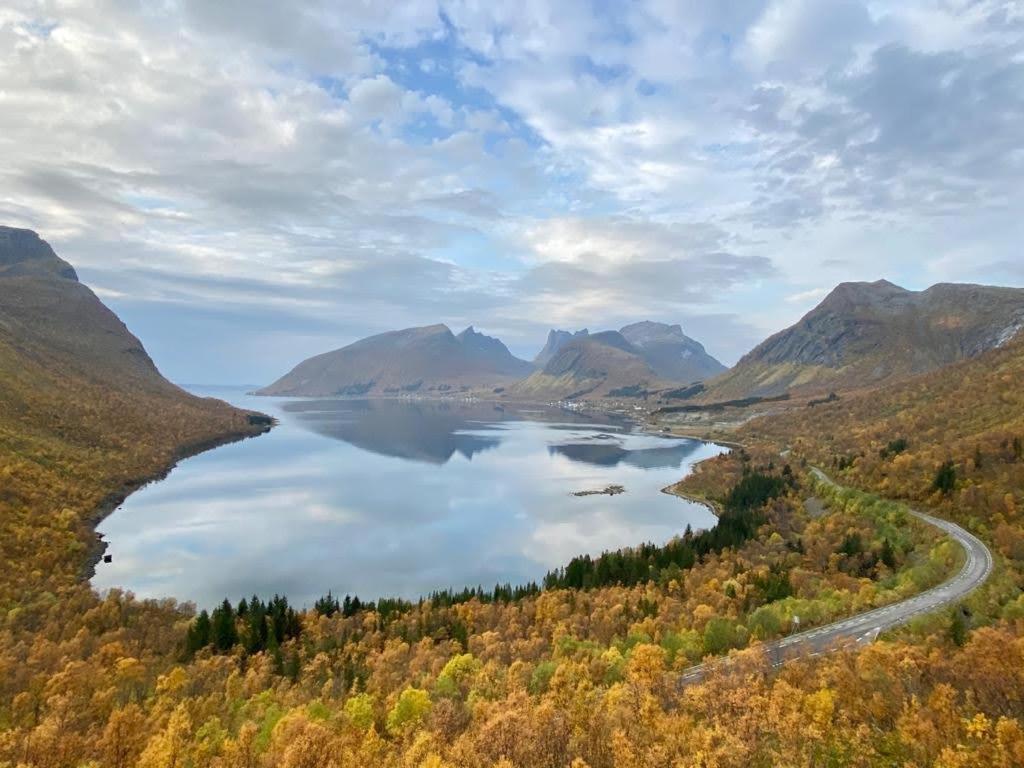 Ferrytale, Cozy, Spacious House On Senja Gryllefjord Exterior photo