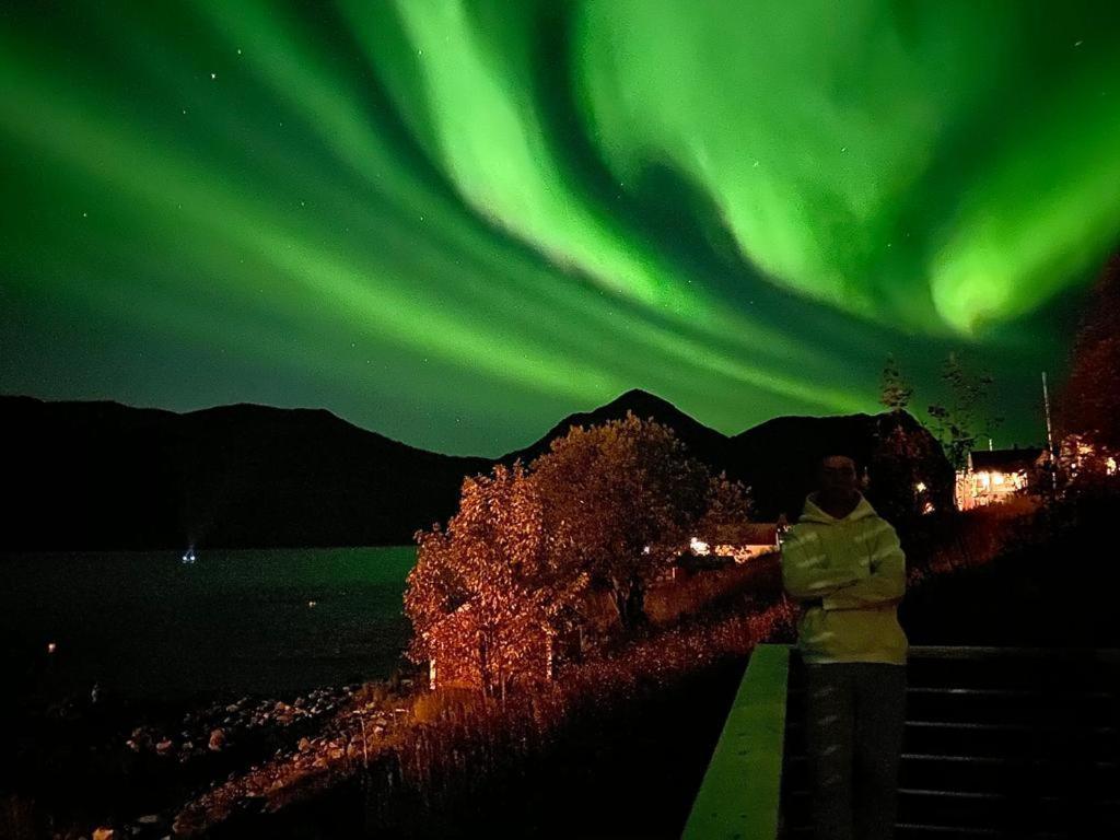 Ferrytale, Cozy, Spacious House On Senja Gryllefjord Exterior photo