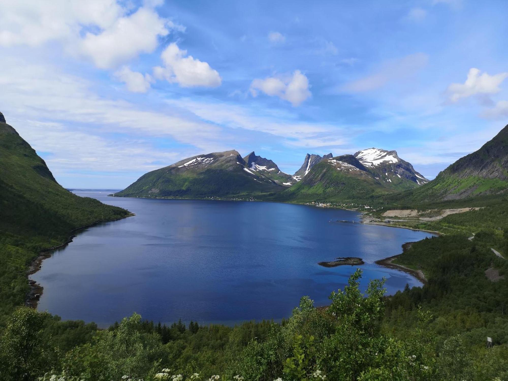 Ferrytale, Cozy, Spacious House On Senja Gryllefjord Exterior photo