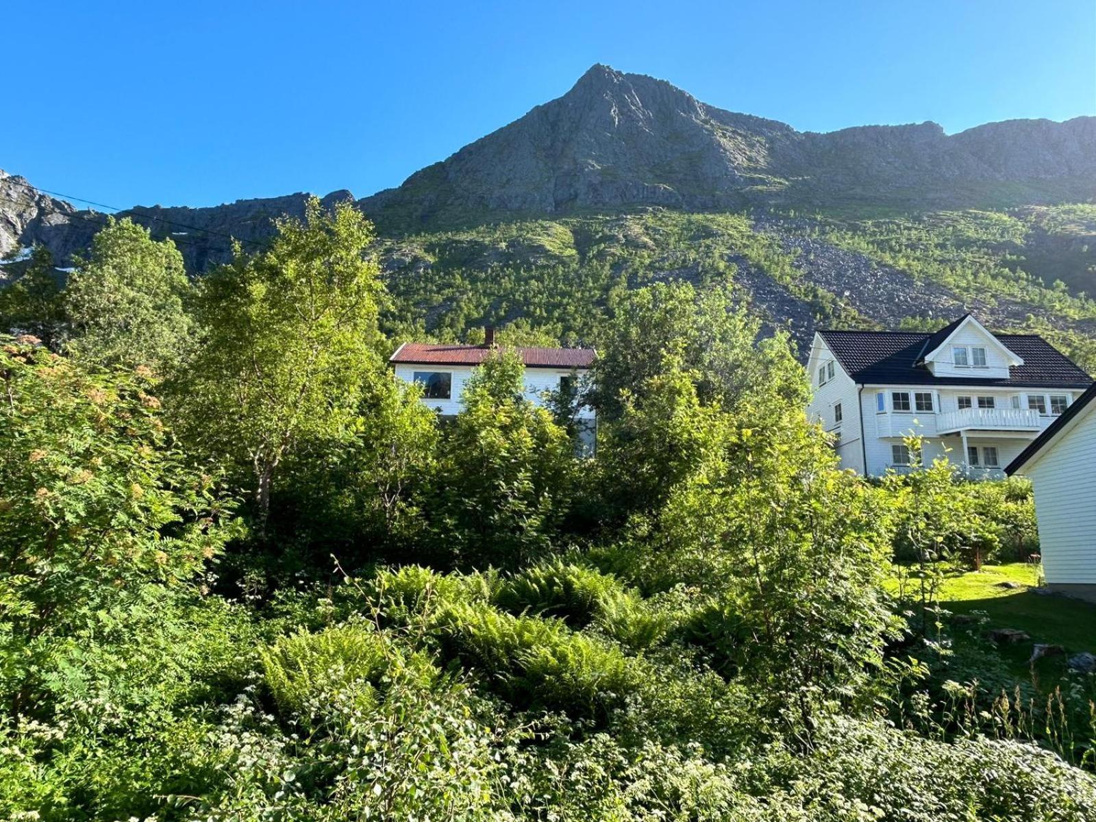 Ferrytale, Cozy, Spacious House On Senja Gryllefjord Exterior photo
